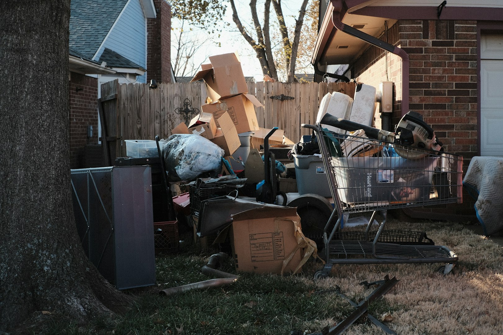 Lawn Care, Window Cleaning, Outdoor Cleanup