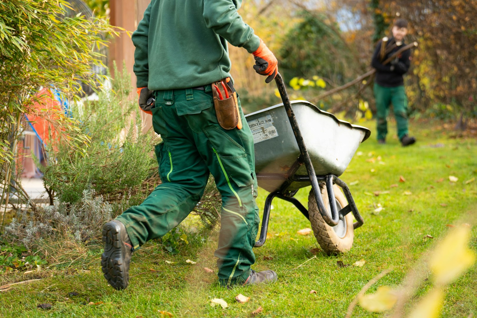 Lawn Care, Window Cleaning, Outdoor Cleanup